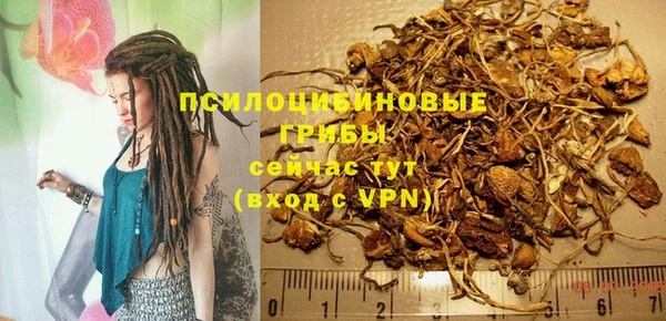 метадон Ладушкин