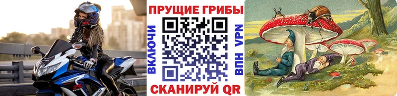 Галлюциногенные грибы Psilocybine cubensis где найти Верхоянск
